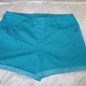 Turquoise Stretch Shorts size XL